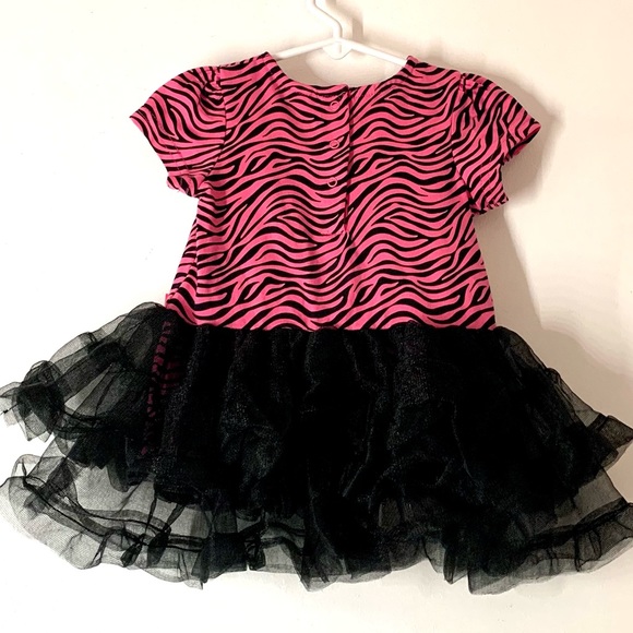 Starting Out - Picture 2 of 5